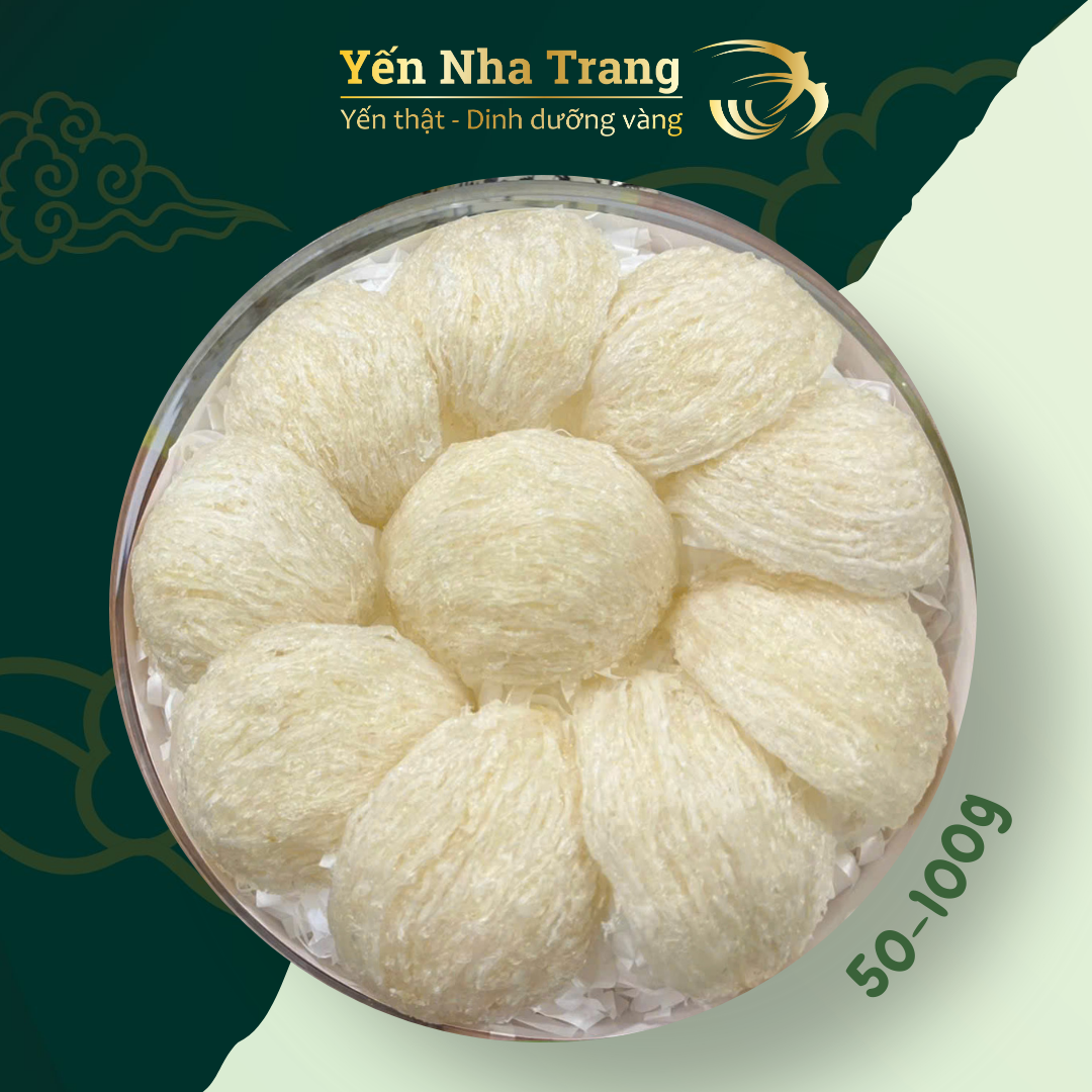 Yến Rút Lông Tai Lớn - Ảnh 2