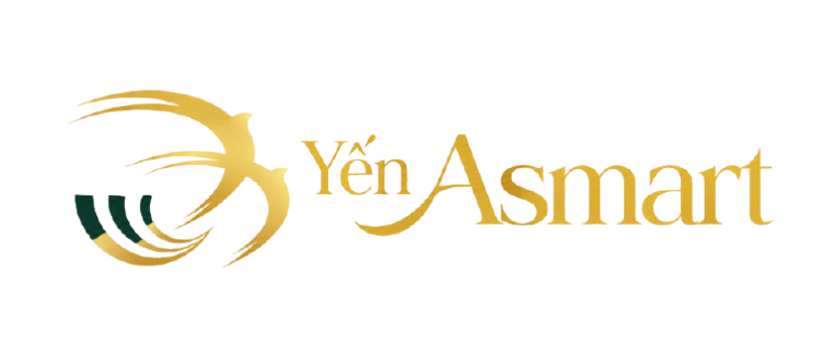 YẾN ASMART KON TUM