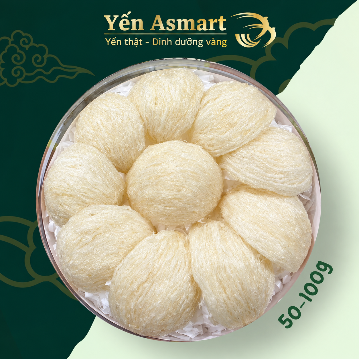 Yến Rút Lông Tai Lớn